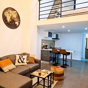  Appartement Grand Loft Avec Terrasse Privee